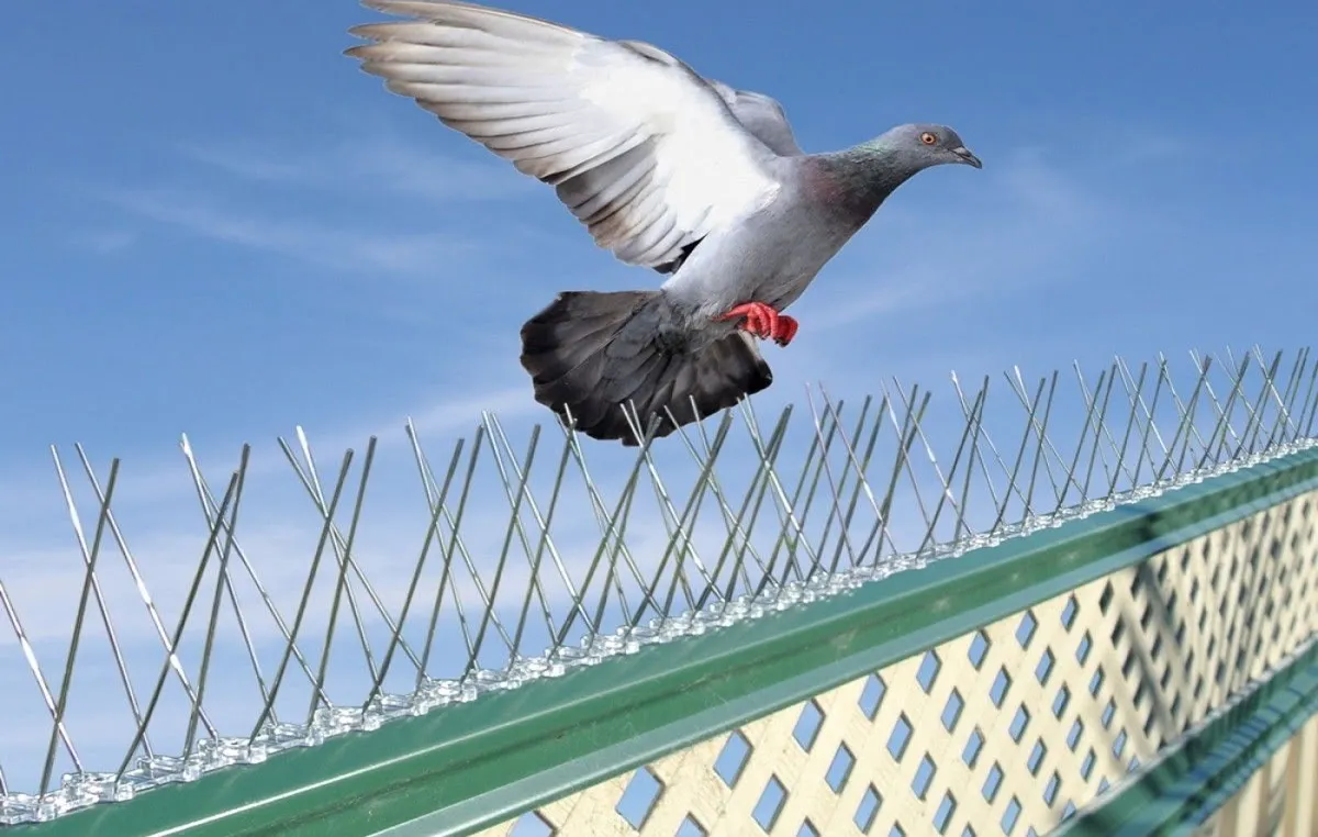 شركة شبك حمام بالاحساء | شركة شعار للنظافة 0591723715