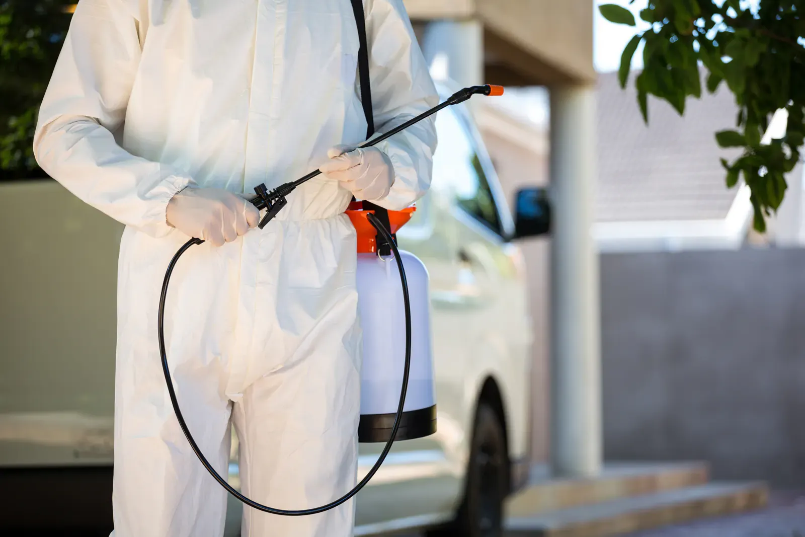 شركة مكافحة حشرات بالاحساء | شركة شعار للنظافة 0591723715